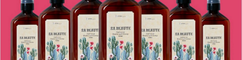 �T�{�[�e �w�A�I�C�����T�C�g